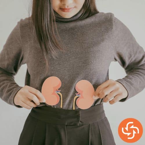 Woman holding paper cutouts of kidneys against her lower abdomen, symbolizing kidney health or disease awareness.